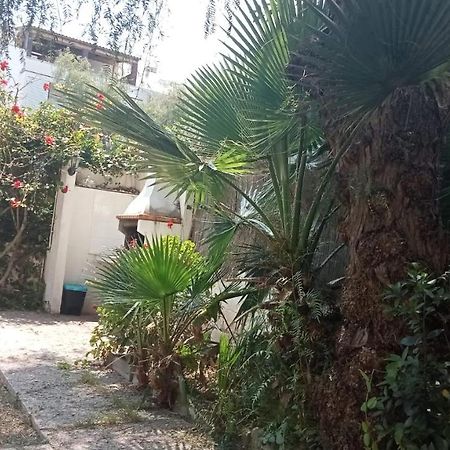 Apartamento - Jardin En Playa San Sebastian Sitges Zewnętrze zdjęcie